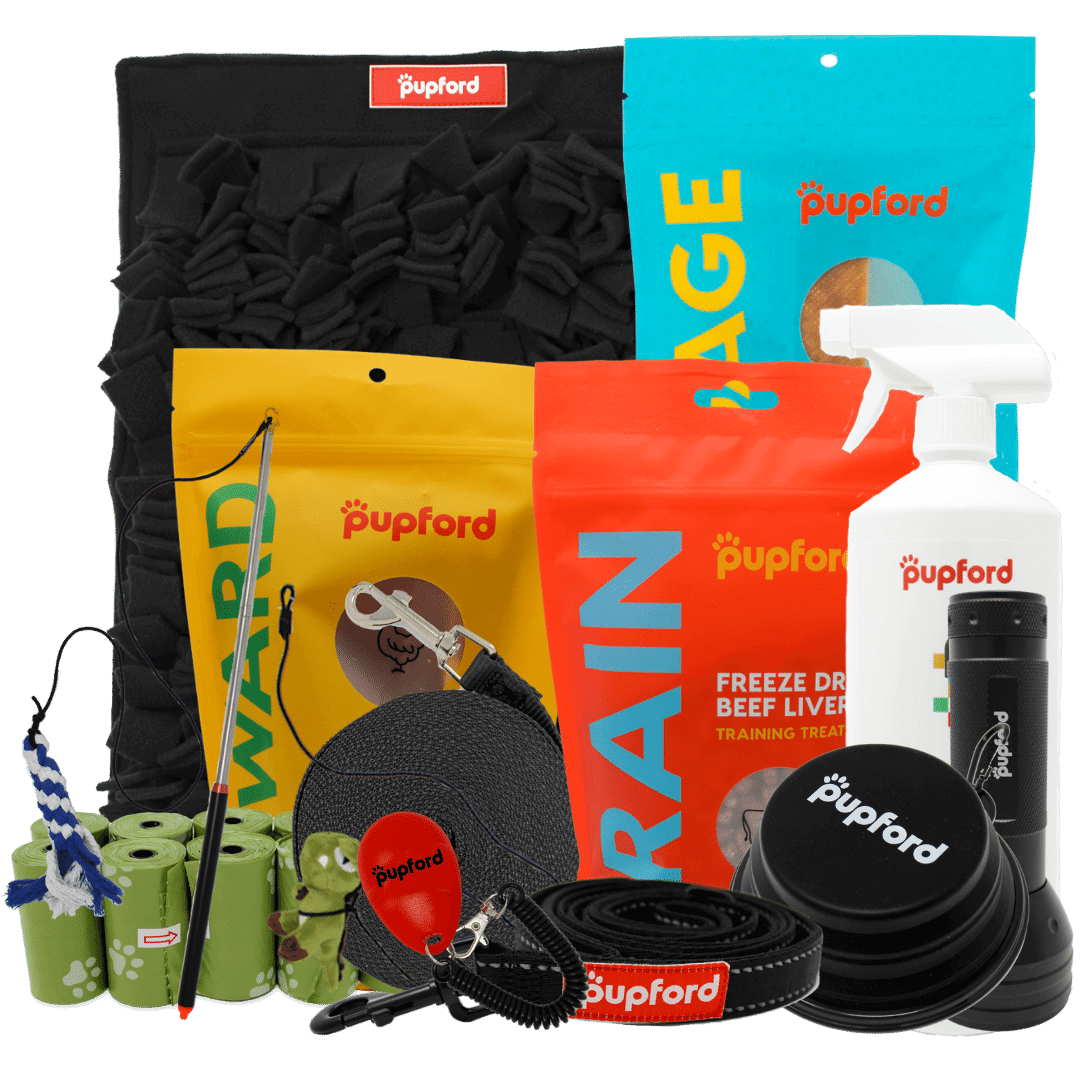 medium dog new year new pup pack | Pupford
