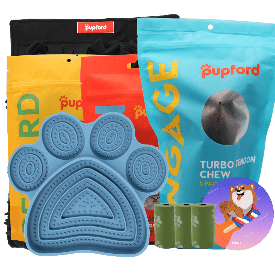 4th of july pack | Pupford