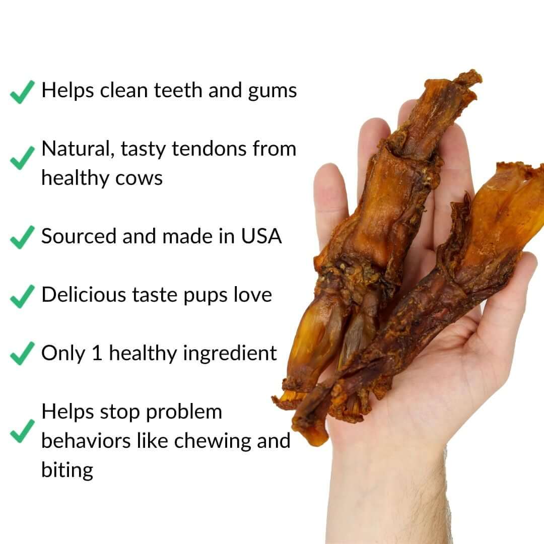turbo-tendon-in-hand-with-benefits-site | Pupford