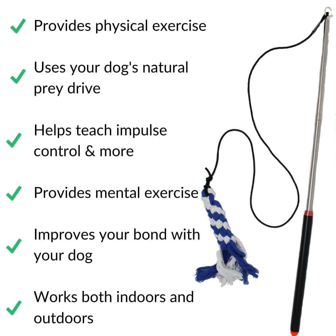 flirt-pole-benefits-web-white | Pupford