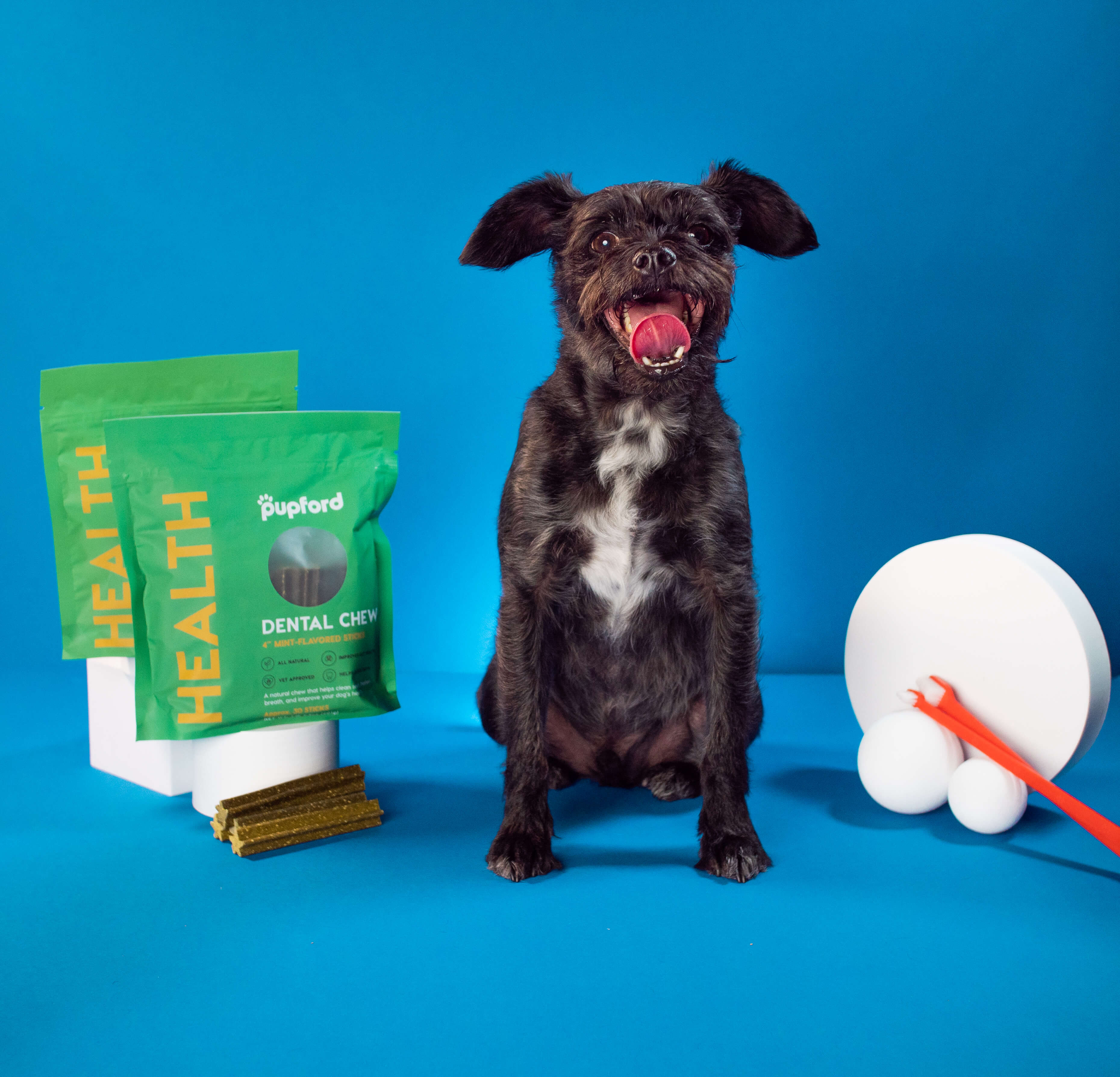 dog posing next to dental chews | Pupford
