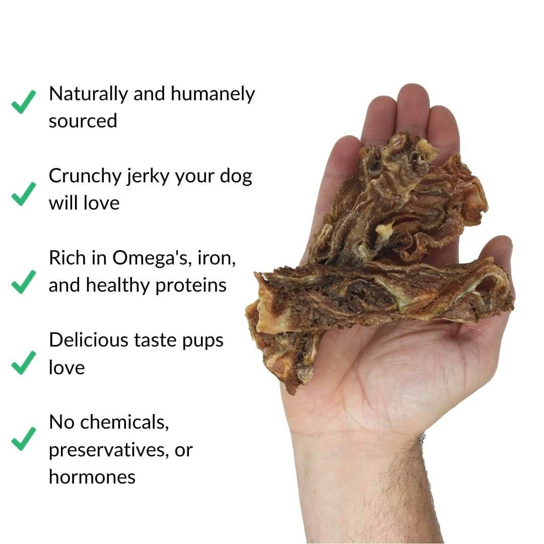 lamb jerky in hand white website | Pupford