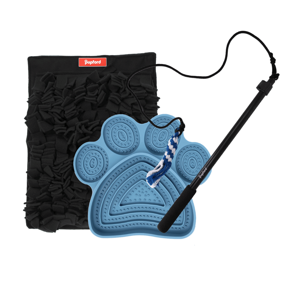 medium dog enrichment pack | Pupford