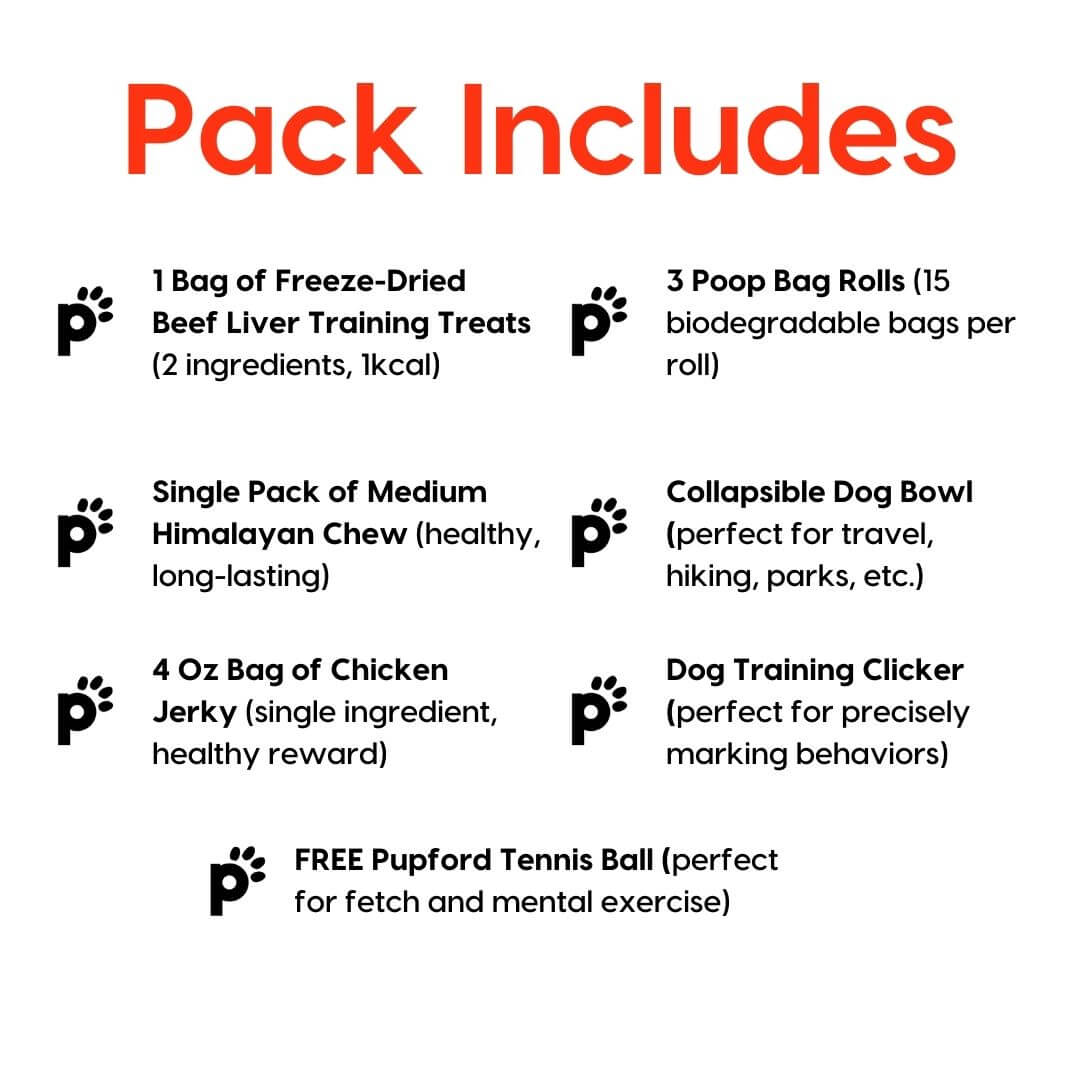 medium dog black friday pack inclusions | Pupford 