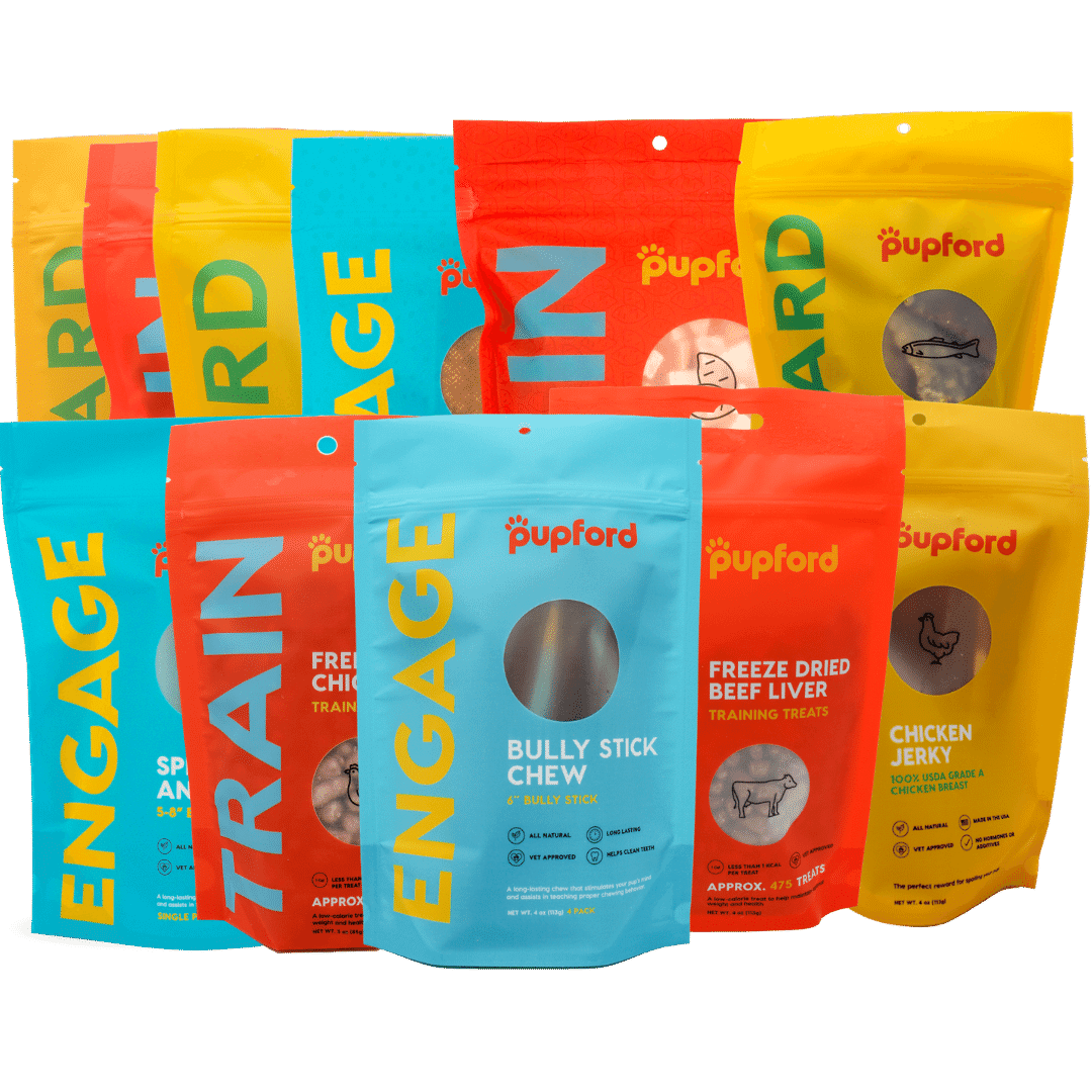 medium dog great pack | Pupford