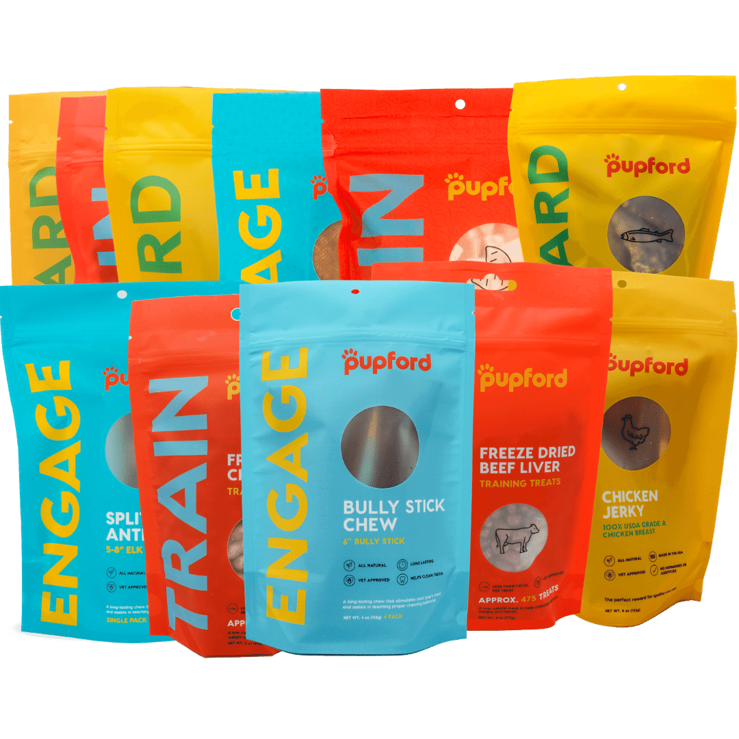 large dog great pack | Pupford