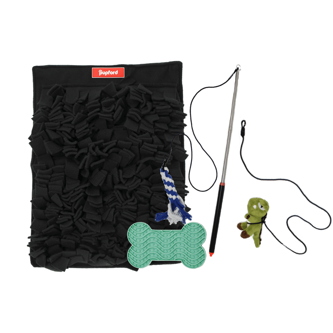 puppy and small dog enrichment pack | Pupford