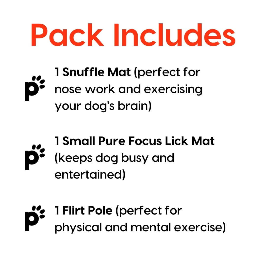 puppy and small dog enrichment pack inclusions | Pupford