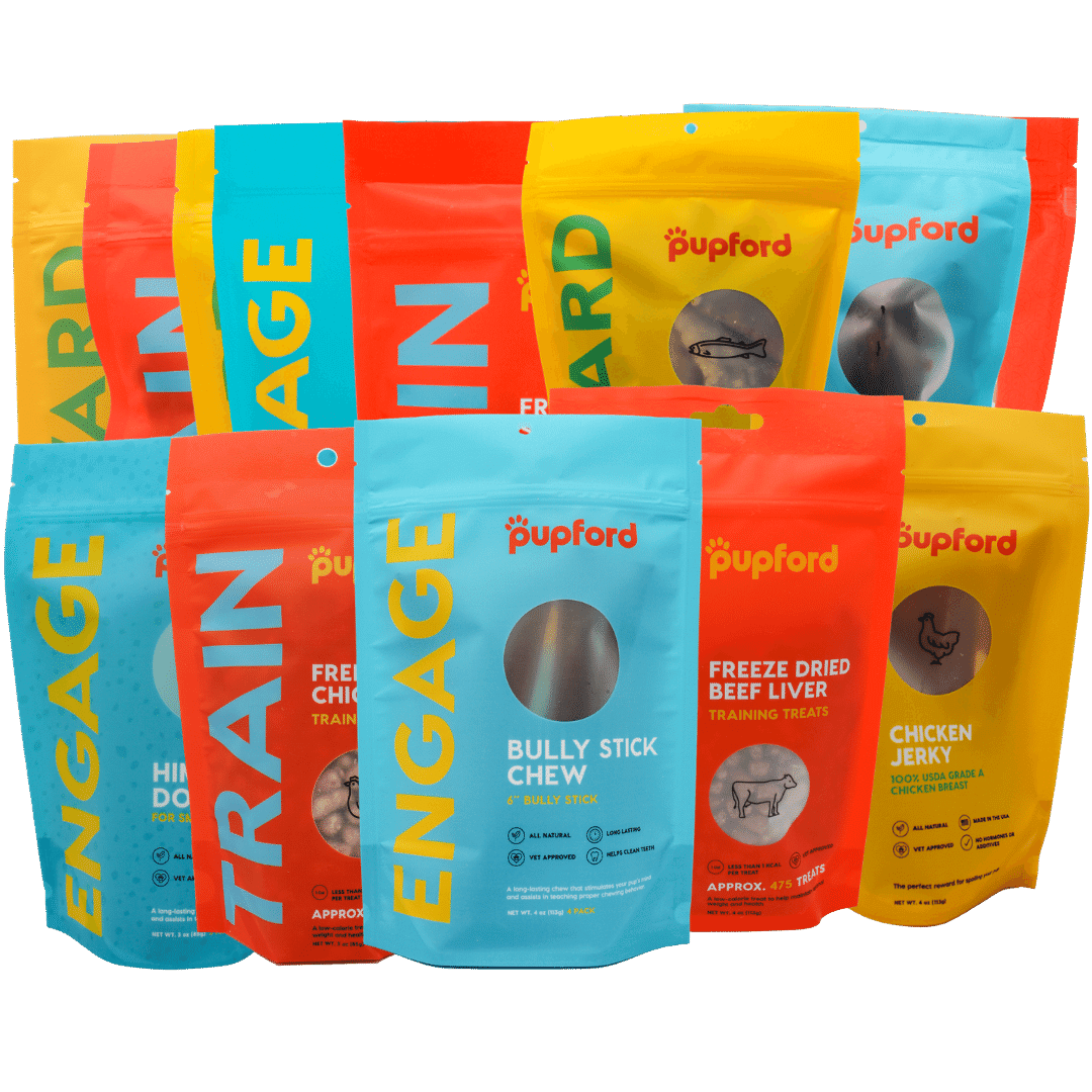 puppy and small dog bark pack | Pupford