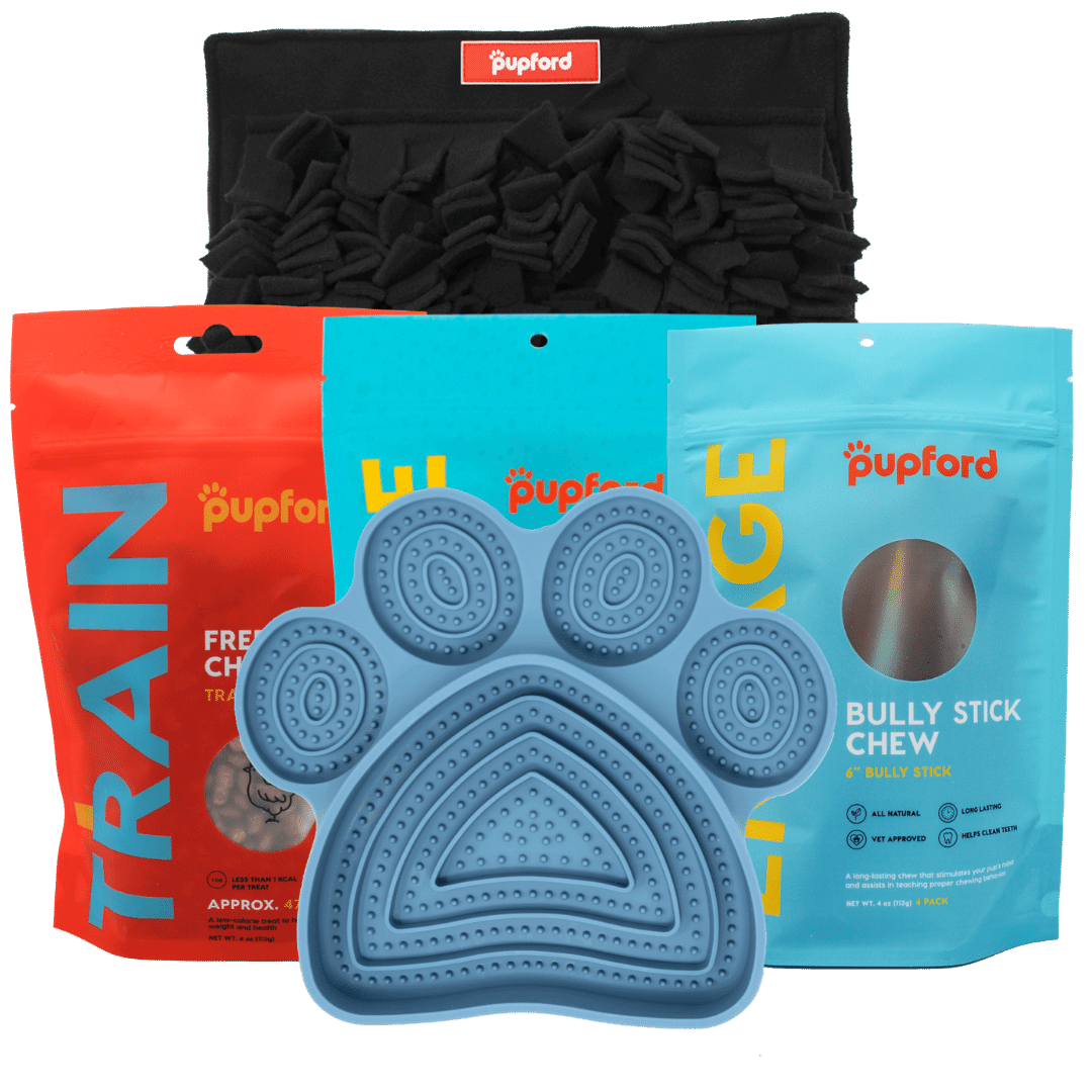 medium dog alone time pack | Pupford