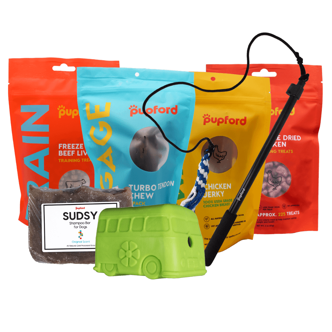 Amber Aquart Favorites Pack