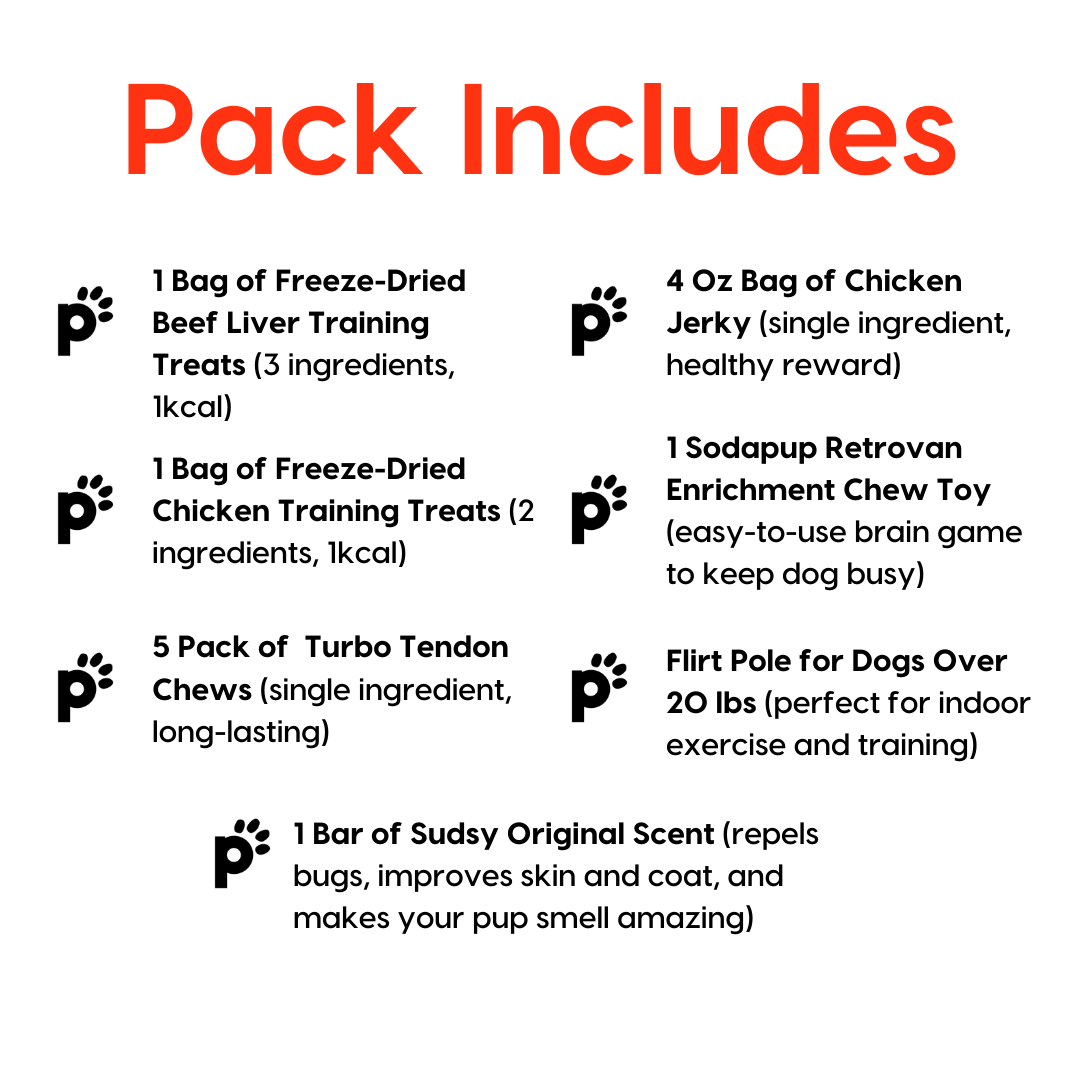 amber aquart favorite pack inclusions
