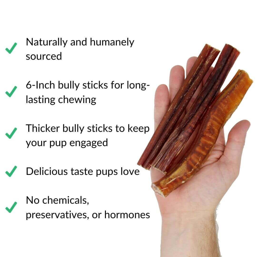 bully sticks benefits