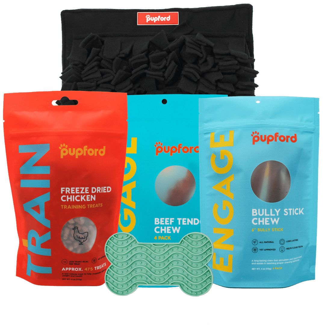 puppy and small dog time alone pack | Pupford